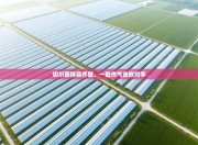 切尔西阵容齐整，一鼓作气击败对手