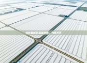 柏林联球员团结拼搏，力克对手