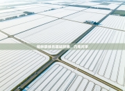 柏林联球员团结拼搏，力克对手