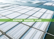 鲁能客场告捷，连胜趋势明显，冲击前四