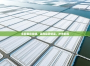 鲁能客场告捷，连胜趋势明显，冲击前四