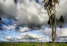 切沃主场击败那不勒斯，取得关键胜利