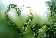 切沃主场击败那不勒斯，取得关键胜利