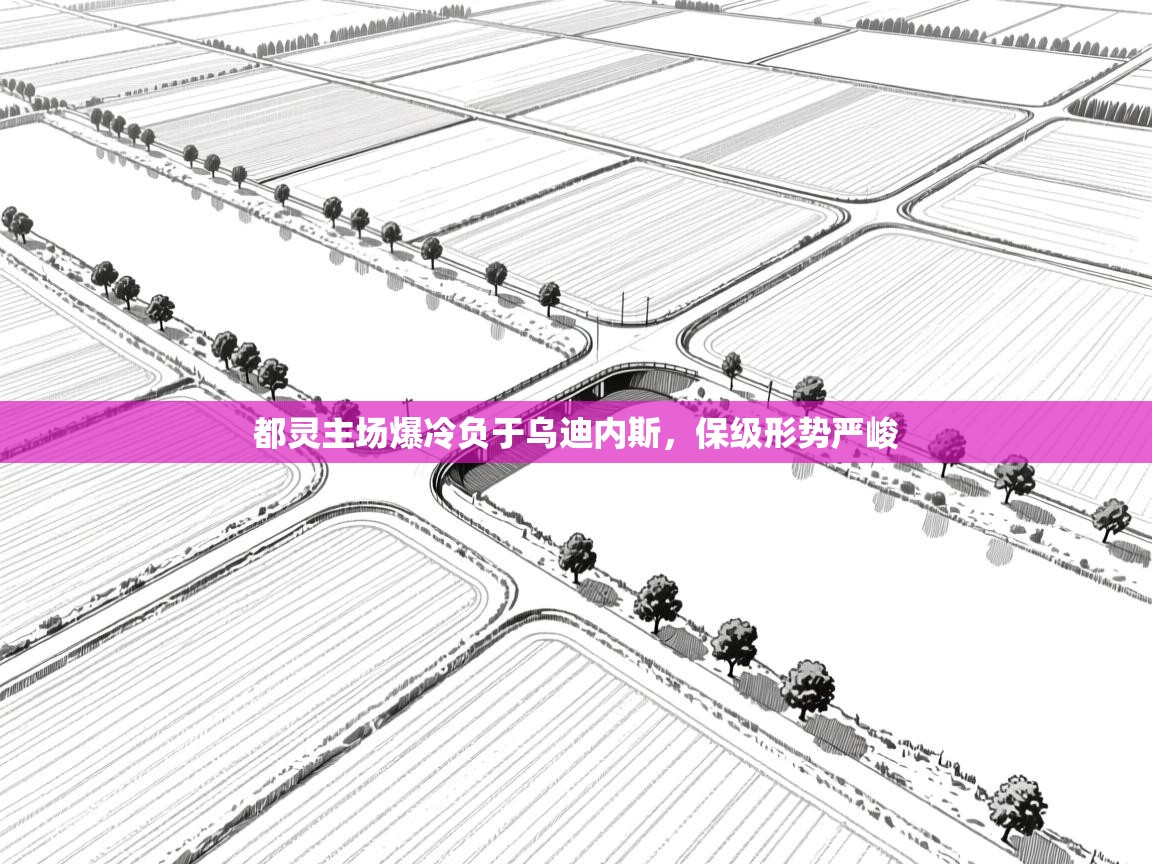 都灵主场爆冷负于乌迪内斯，保级形势严峻  第2张