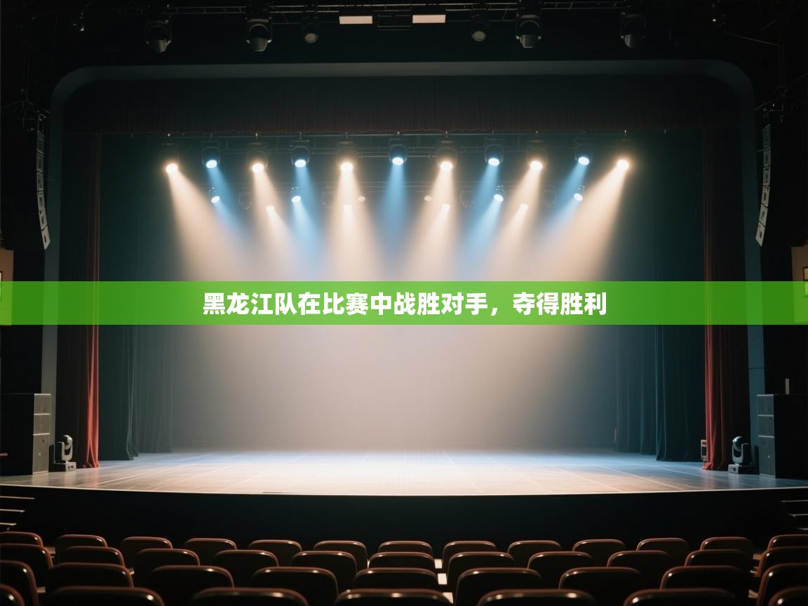 黑龙江队在比赛中战胜对手，夺得胜利  第1张