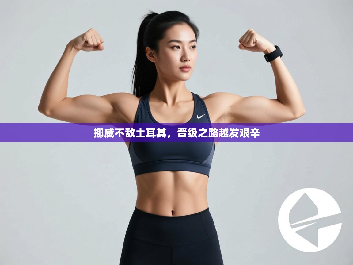 挪威不敌土耳其，晋级之路越发艰辛  第1张