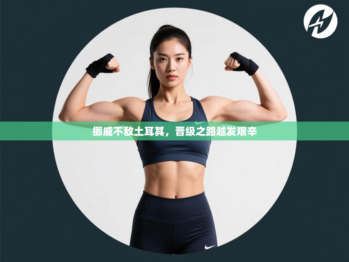 挪威不敌土耳其，晋级之路越发艰辛  第2张