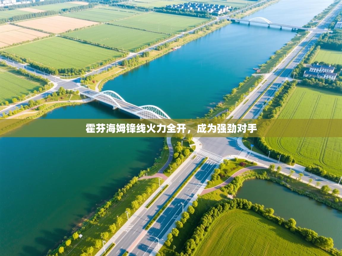 霍芬海姆锋线火力全开，成为强劲对手  第1张