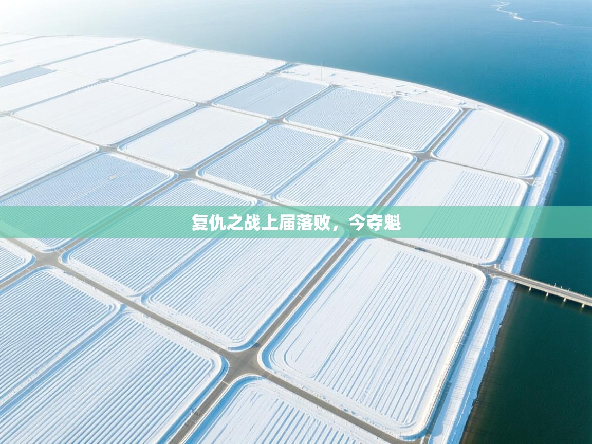 复仇之战上届落败，今夺魁  第2张