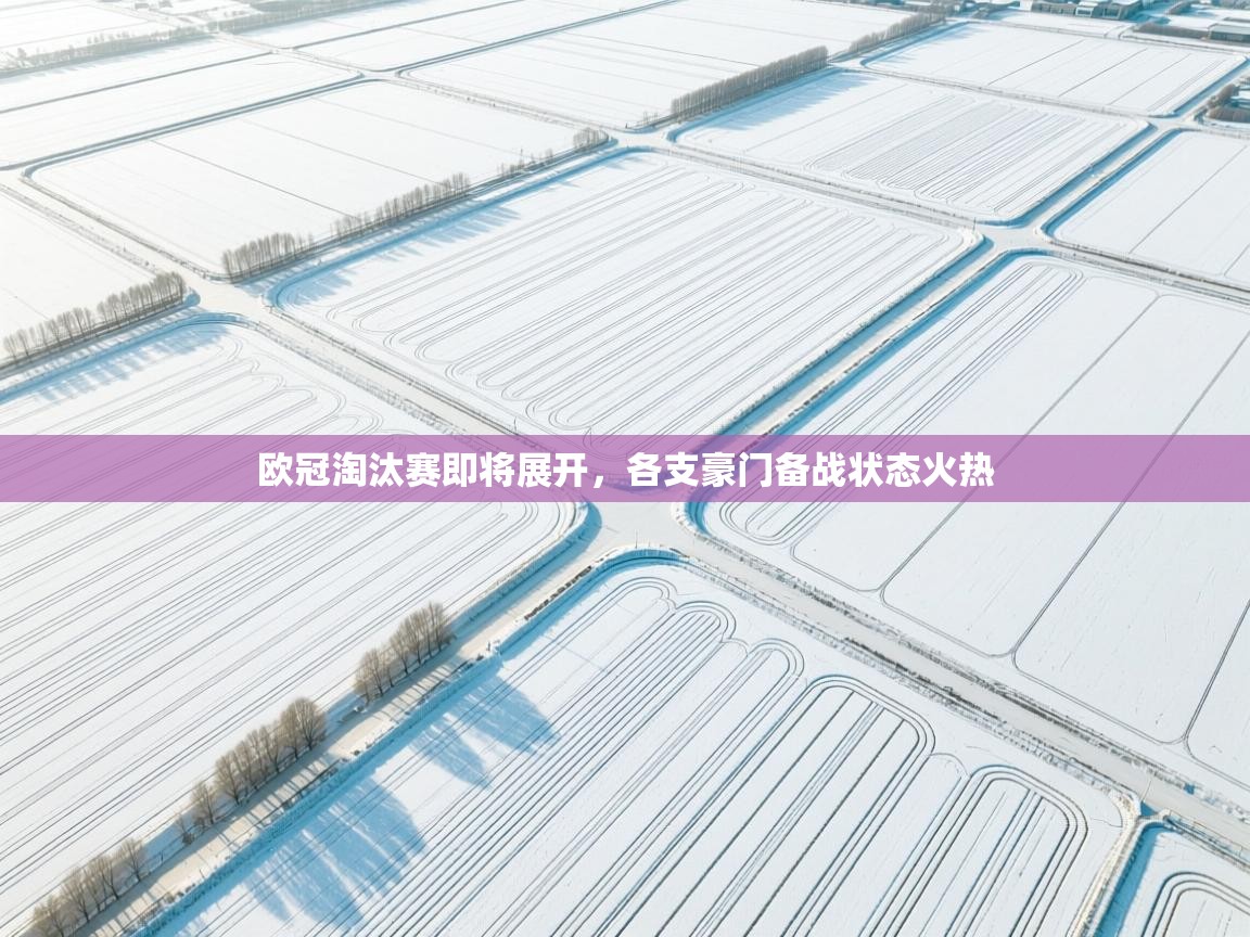 欧冠淘汰赛即将展开,各支豪门备战状态火热 第1张