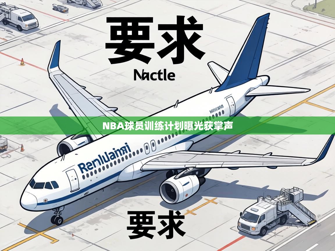 NBA球员训练计划曝光获掌声  第1张