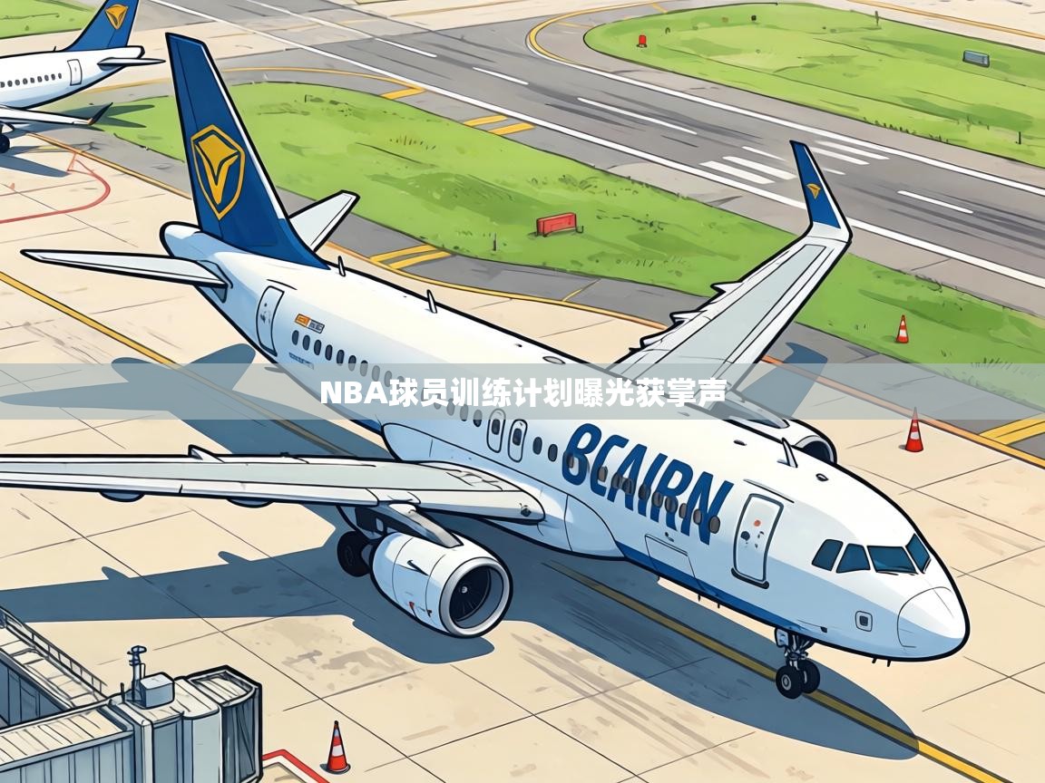 NBA球员训练计划曝光获掌声  第2张
